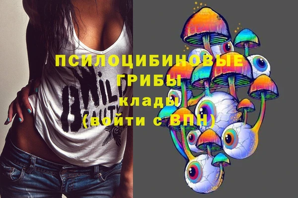 твердый Кулебаки