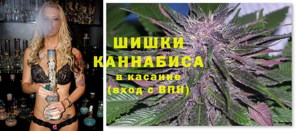 дмт Кукмор