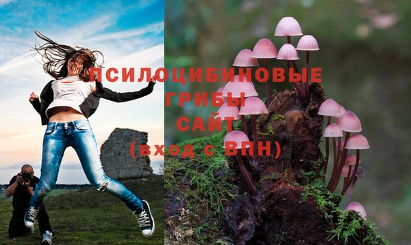 дмт Кукмор