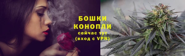 дмт Кукмор