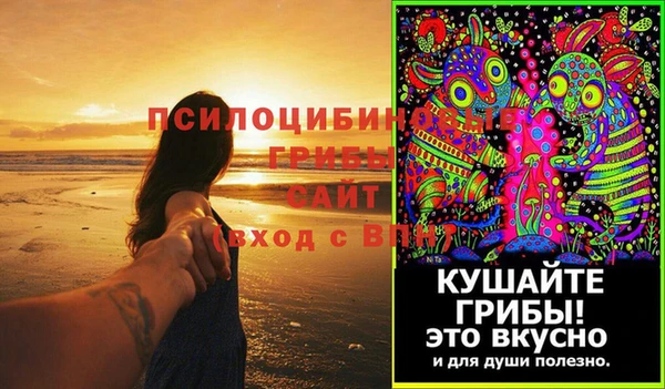 Альфа ПВП Ладушкин