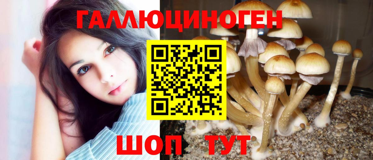 Клин  Галлюциногенные грибы Cubensis  как найти закладки  Вход с VPN 